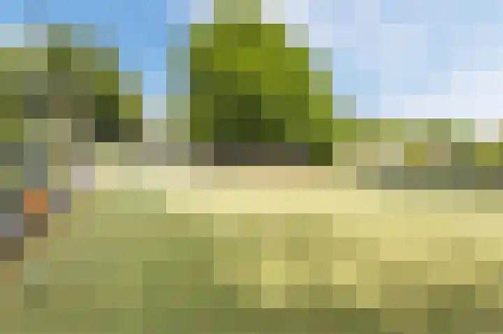 Berlagelaan 88 Hilversum thumbnail 47