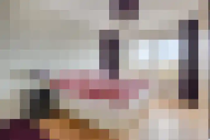 Berlageplan 131 Zoetermeer thumbnail 18