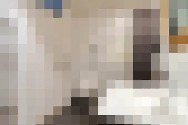 Berlageplan 131 Zoetermeer thumbnail 20