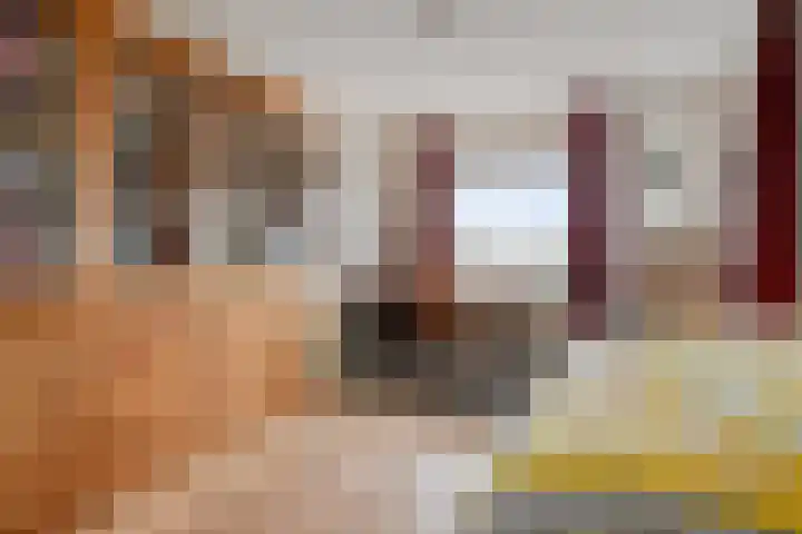 Berlageplan 131 Zoetermeer thumbnail 23