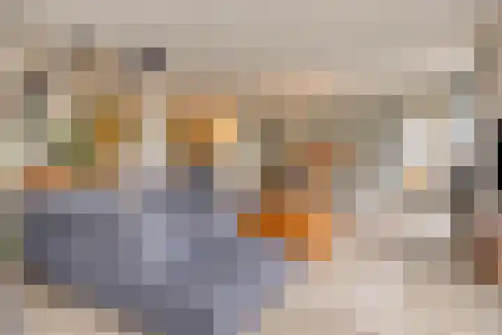 Berlageplan 131 Zoetermeer thumbnail 4