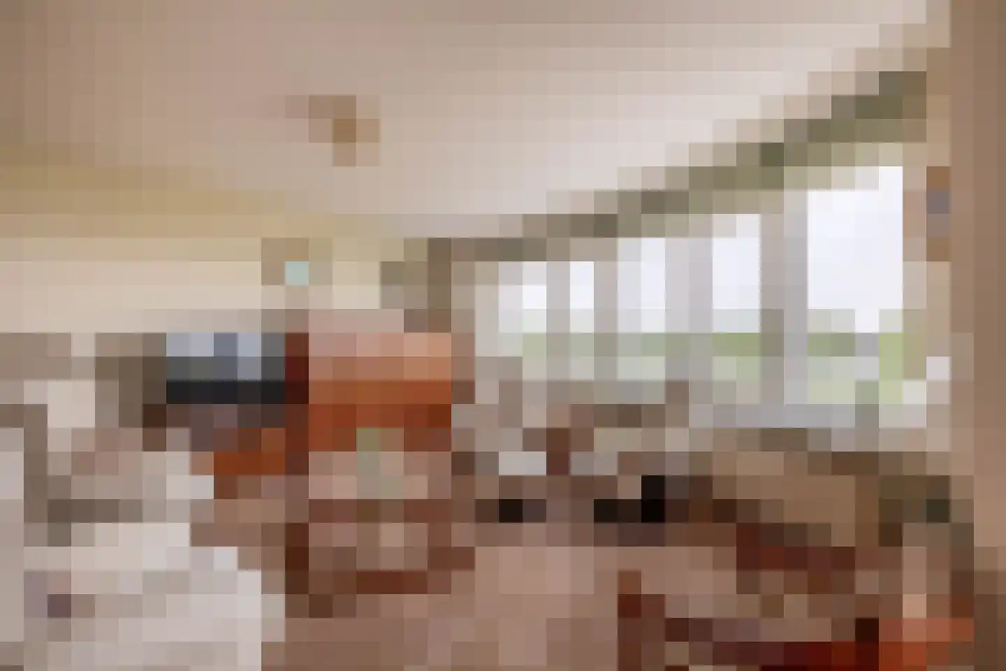 Berlageplan 35 Zoetermeer thumbnail 13
