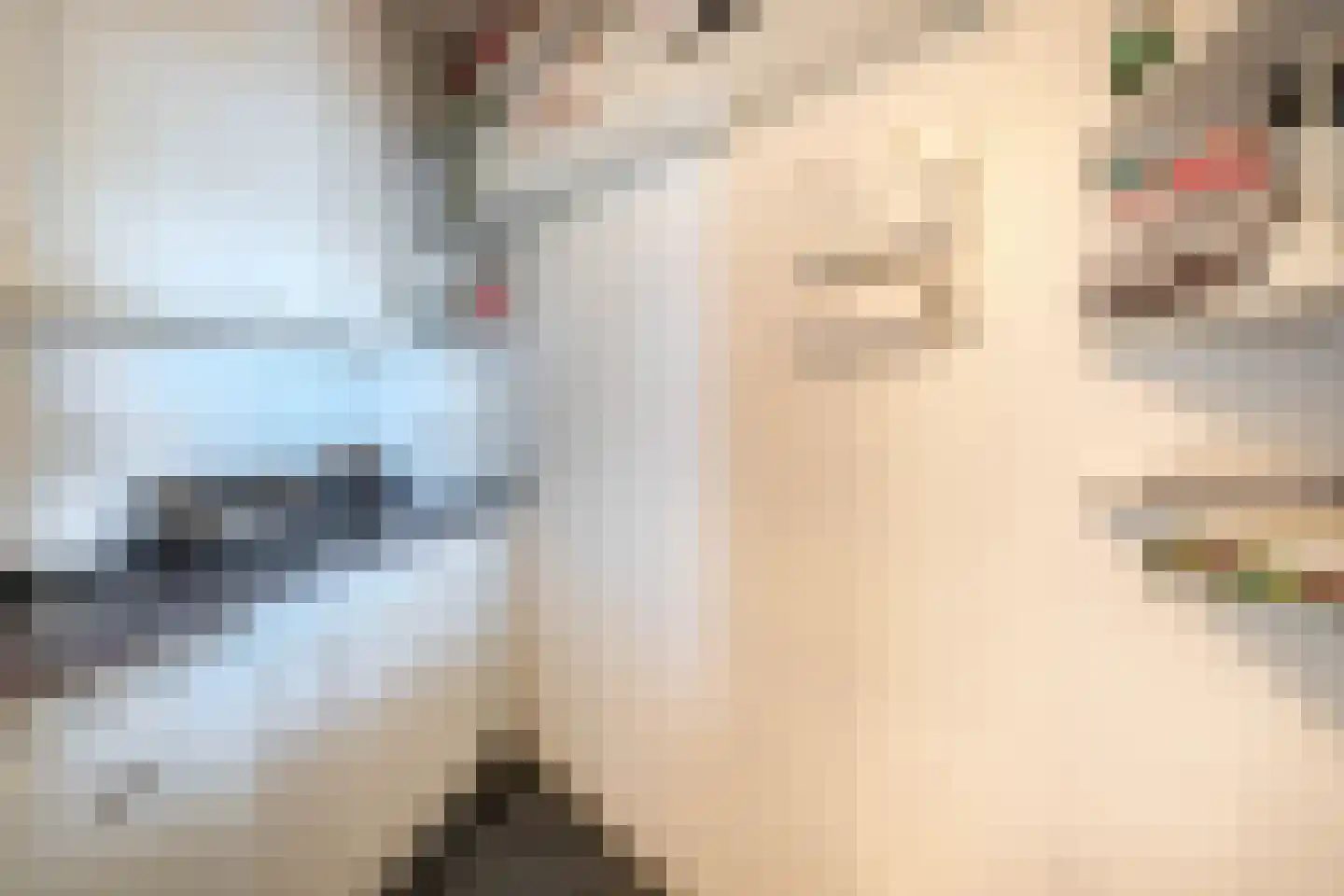 Berlageplan 35 Zoetermeer thumbnail 18