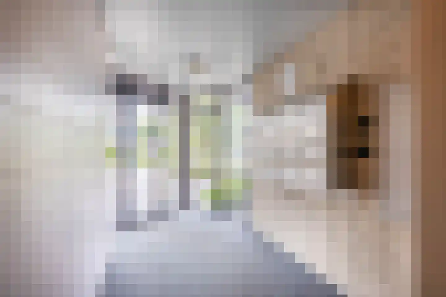 Berlageplan 35 Zoetermeer thumbnail 8
