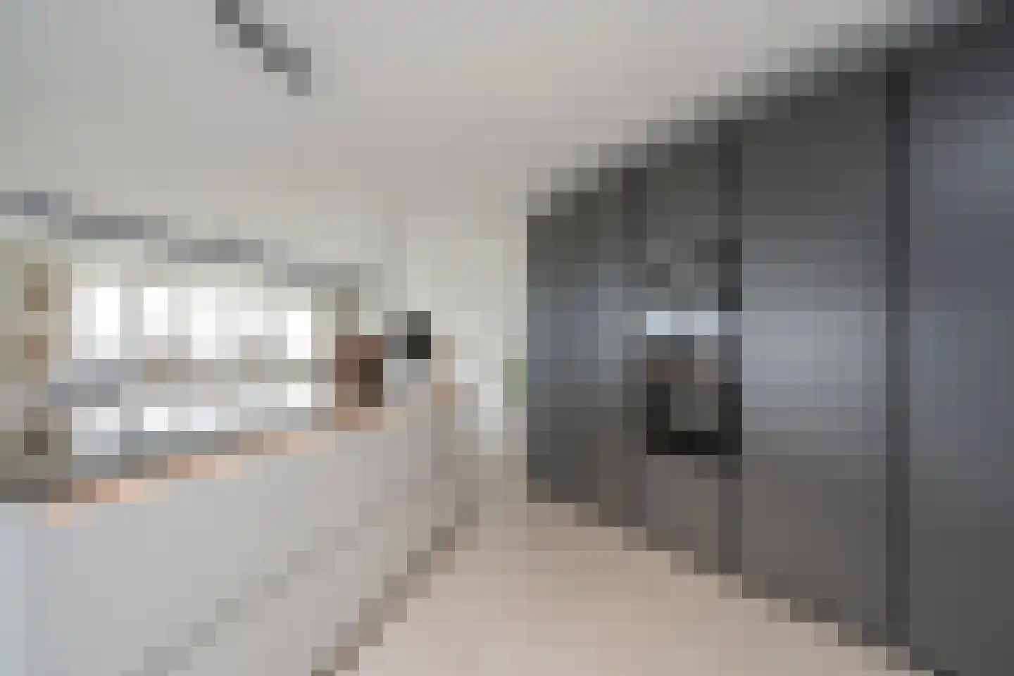 Berlageplan 39 Zoetermeer thumbnail 11
