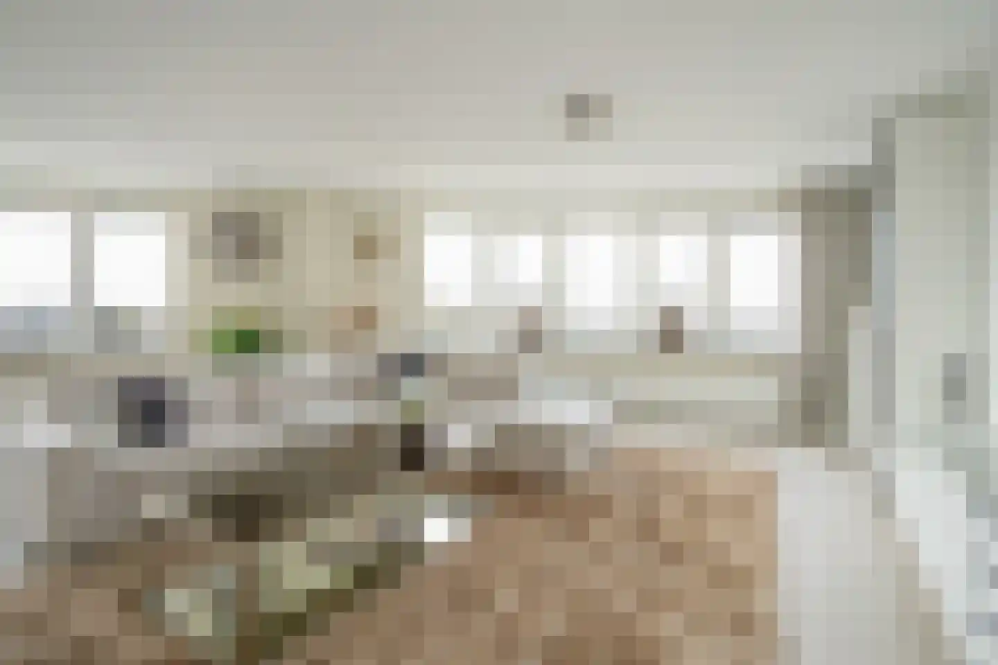 Berlageplan 39 Zoetermeer thumbnail 17