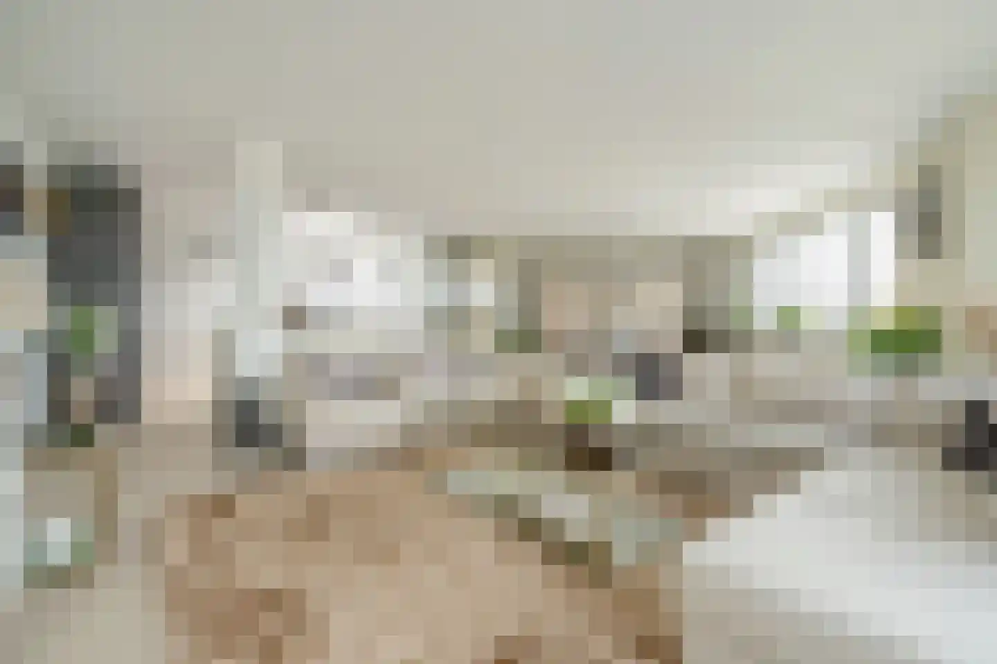 Berlageplan 39 Zoetermeer thumbnail 19
