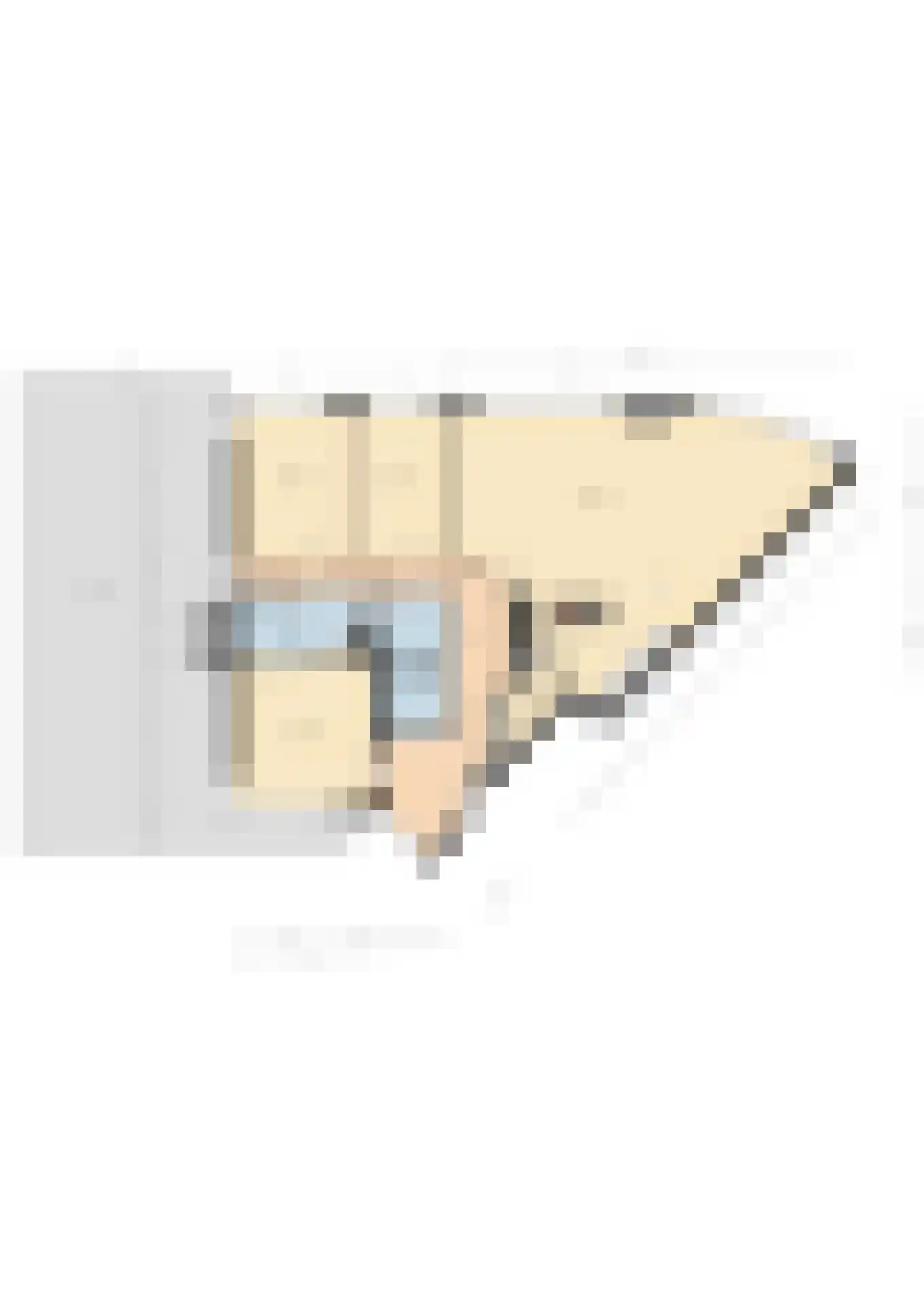 Berlageplan 39 Zoetermeer thumbnail 44