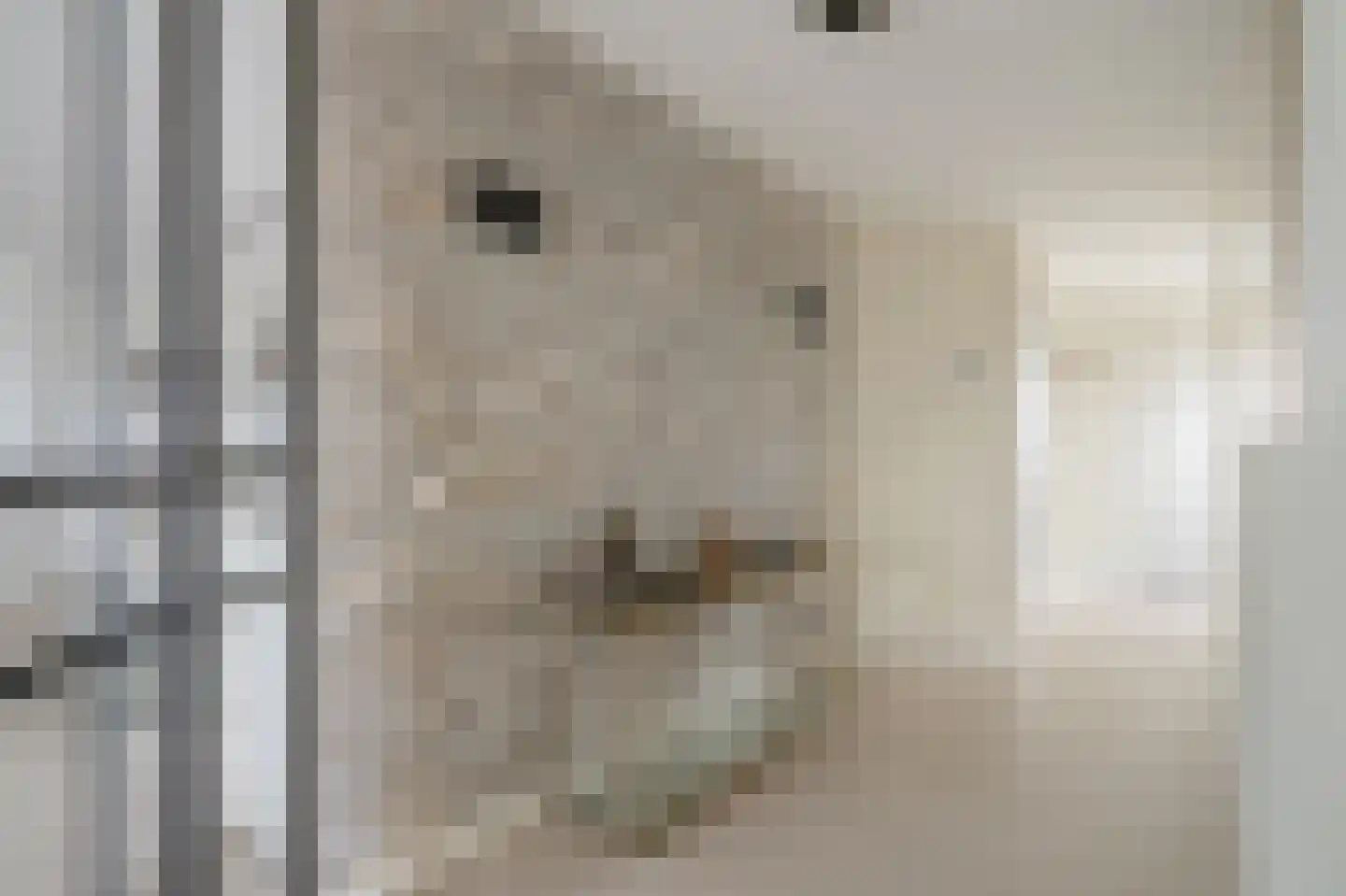 Berlageplan 39 Zoetermeer thumbnail 8
