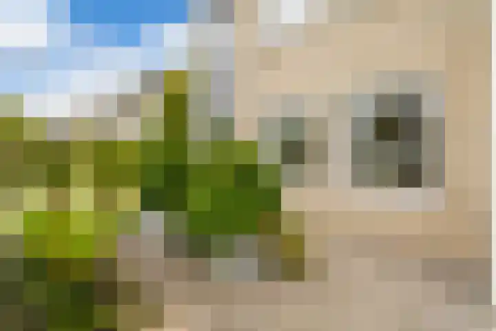 Berlageplan 45 Zoetermeer thumbnail 30