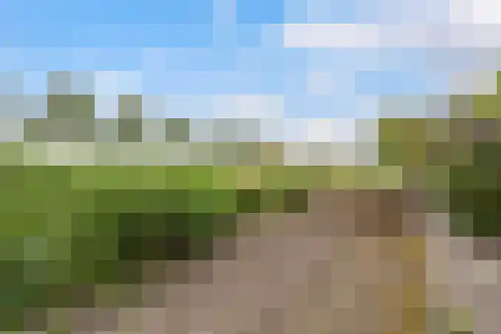 Berlageplan 45 Zoetermeer thumbnail 32