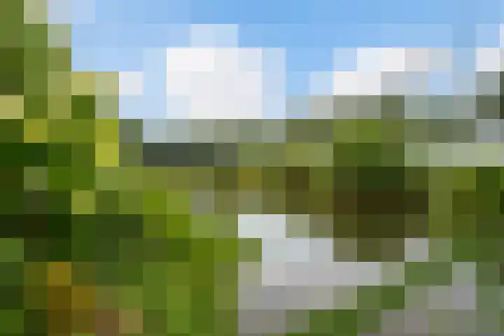 Berlageplan 45 Zoetermeer thumbnail 33