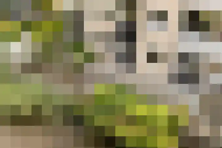 Berlageplan 45 Zoetermeer thumbnail 35