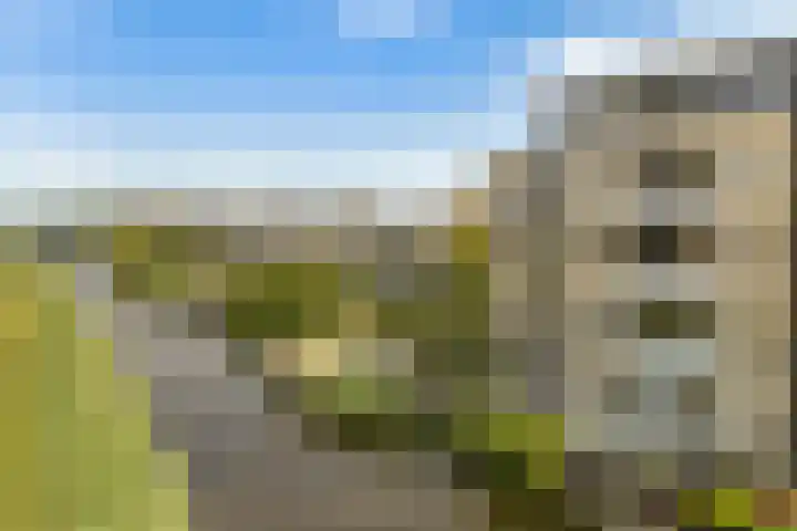 Berlageplan 45 Zoetermeer thumbnail 4