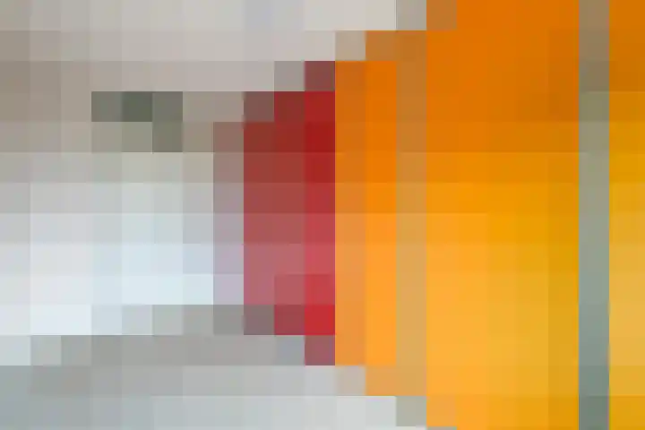 Berlageplan 45 Zoetermeer thumbnail 40