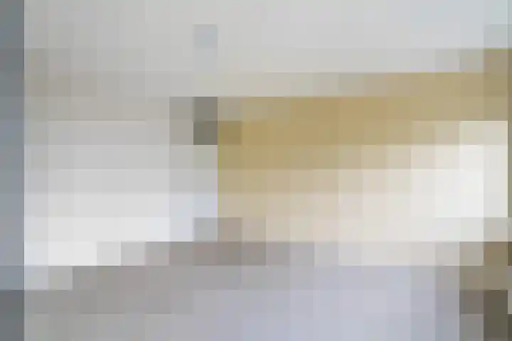 Berlageplan 45 Zoetermeer thumbnail 42