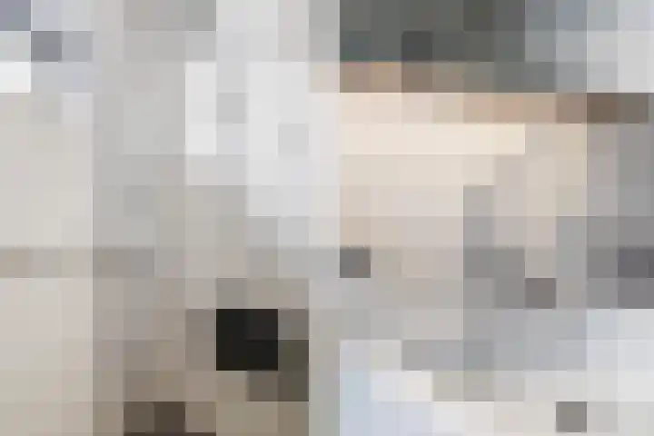 Berlageplan 45 Zoetermeer thumbnail 47