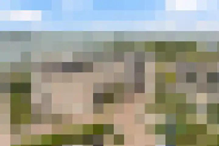 Berlageplan 45 Zoetermeer thumbnail 50