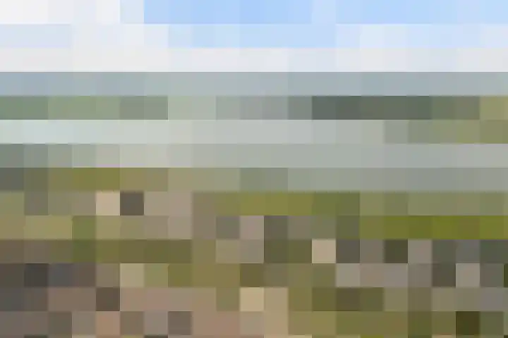 Berlageplan 45 Zoetermeer thumbnail 52