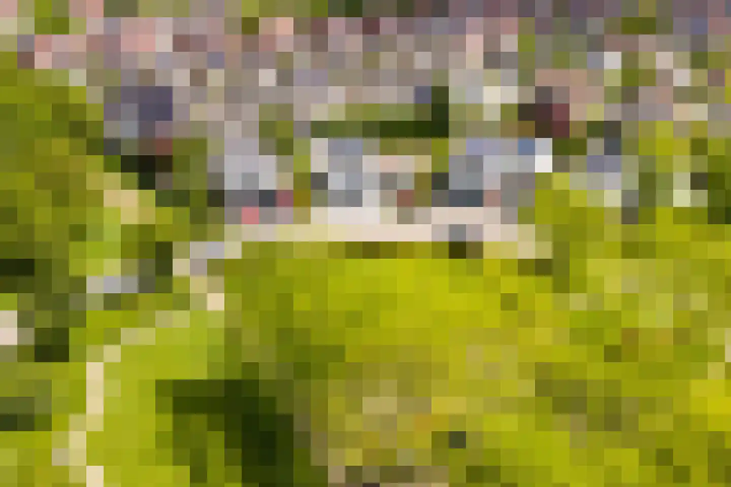 Berlageplein 3 Landgraaf thumbnail 29