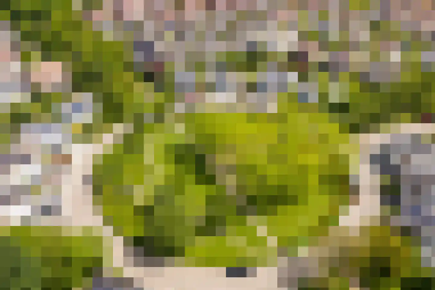 Berlageplein 3 Landgraaf thumbnail 30
