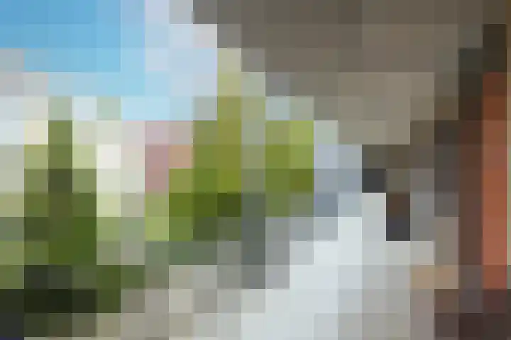 Berlagestraat 124 Utrecht thumbnail 5