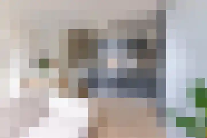Berlagestraat 124 Utrecht thumbnail 9