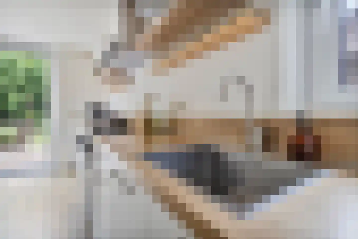 Berlagestraat 16 Heerlen thumbnail 7