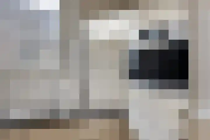 Berlagestraat 27 Heerlen thumbnail 20