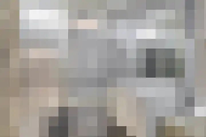 Berlagestraat 32 Lekkerkerk thumbnail 21