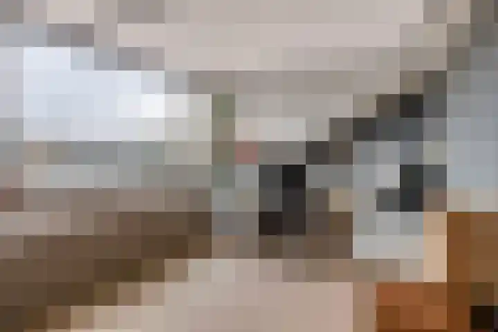 Berlagestraat 40 Lekkerkerk thumbnail 37