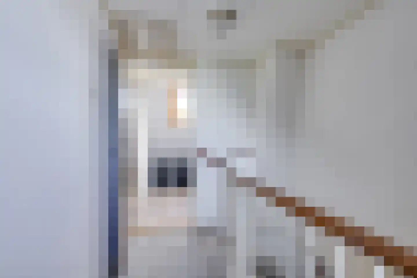 Berlagestraat 43 Lekkerkerk thumbnail 31