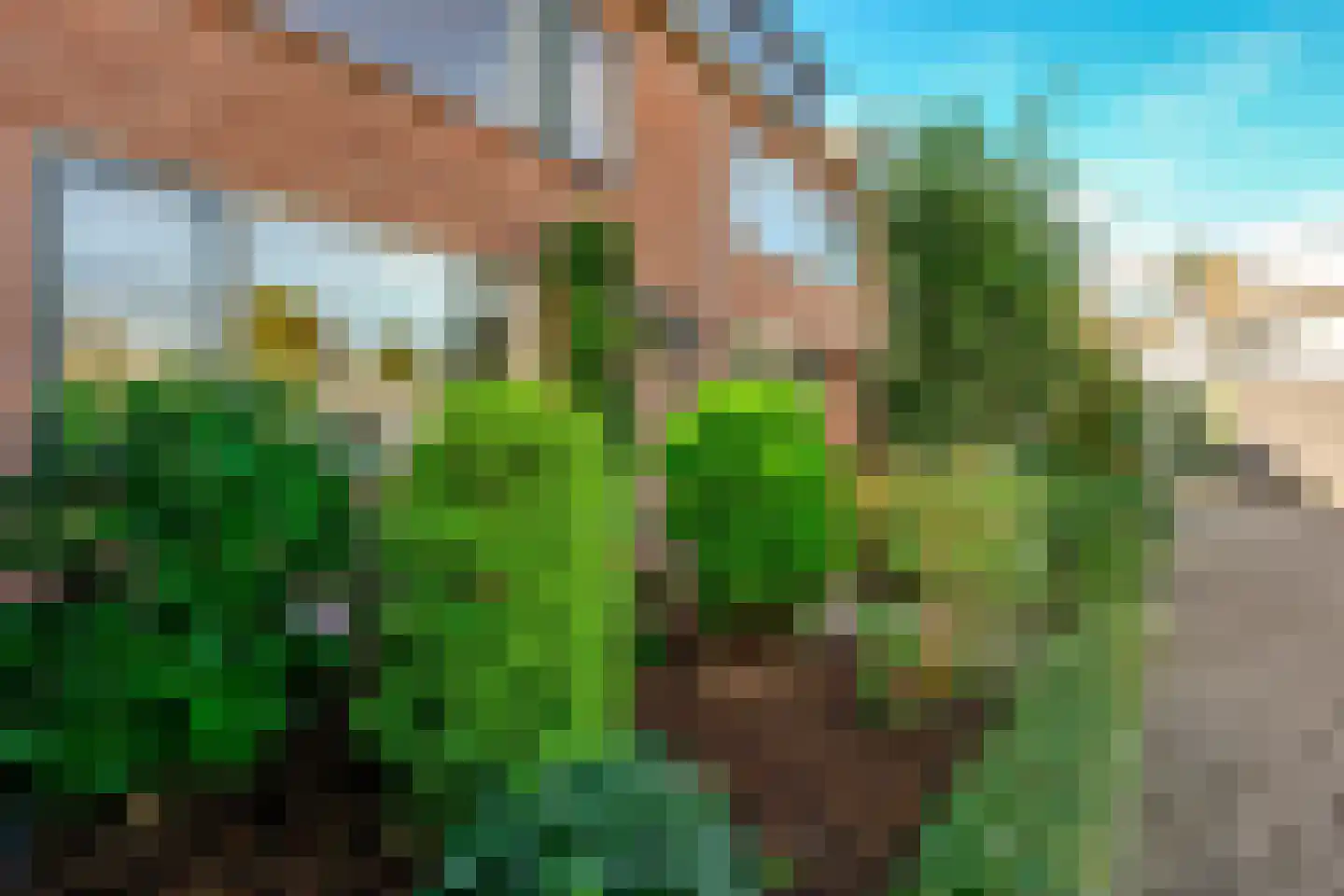 Berlagestraat 43 Lekkerkerk thumbnail 9