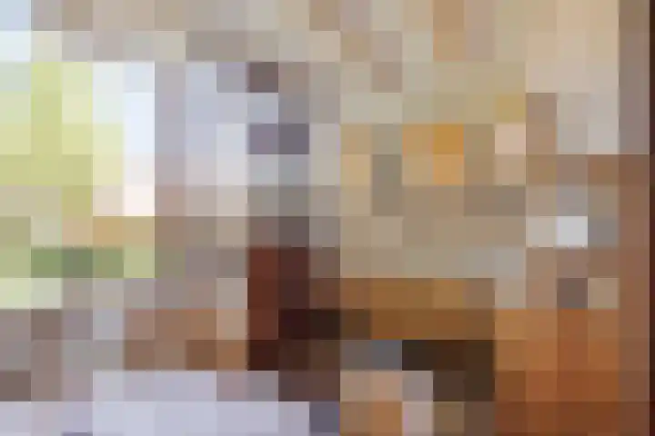 Berlagestraat 52 Lekkerkerk thumbnail 10