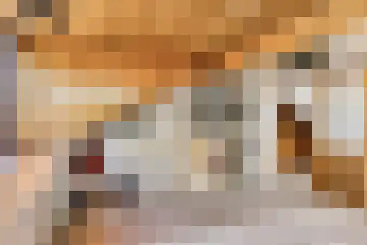 Berlagestraat 52 Lekkerkerk thumbnail 20