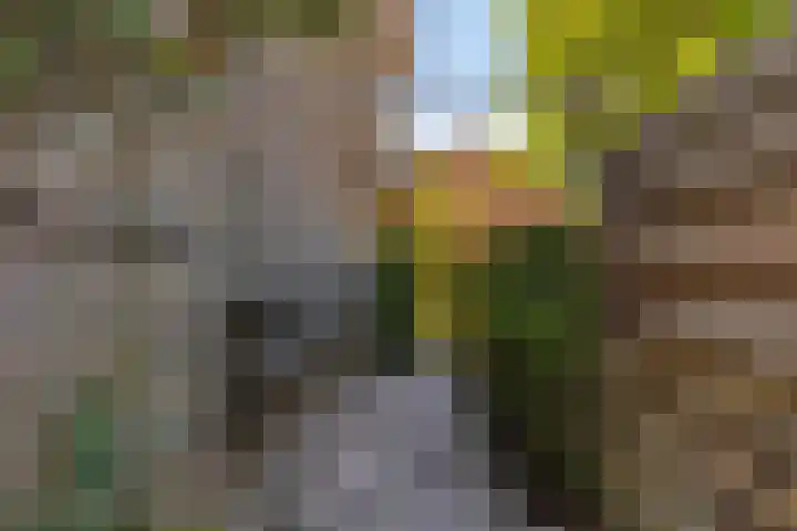 Berlagestraat 52 Lekkerkerk thumbnail 28