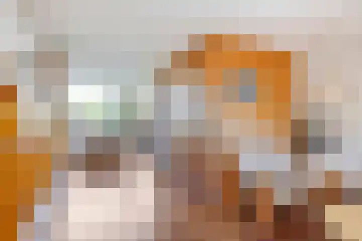 Berlagestraat 52 Lekkerkerk thumbnail 8