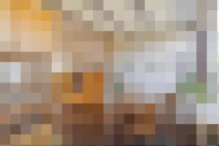 Berlagestraat 52 Lekkerkerk thumbnail 9