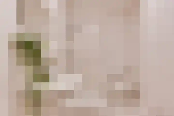 Berlagestraat 6 Utrecht thumbnail 17