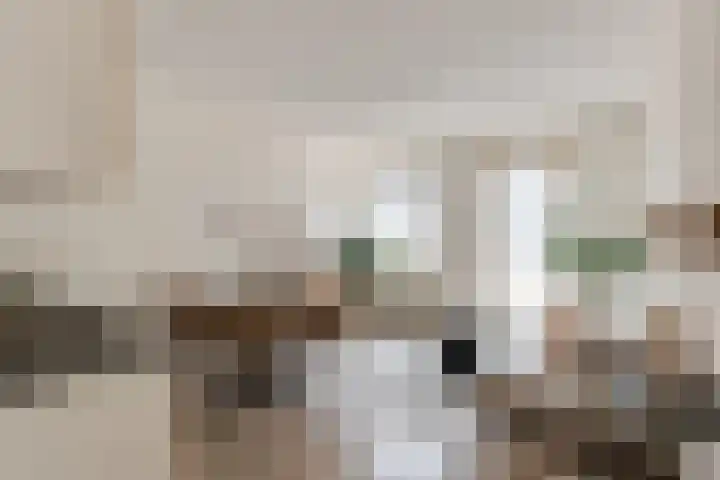 Berlagestraat 6 Utrecht thumbnail 7