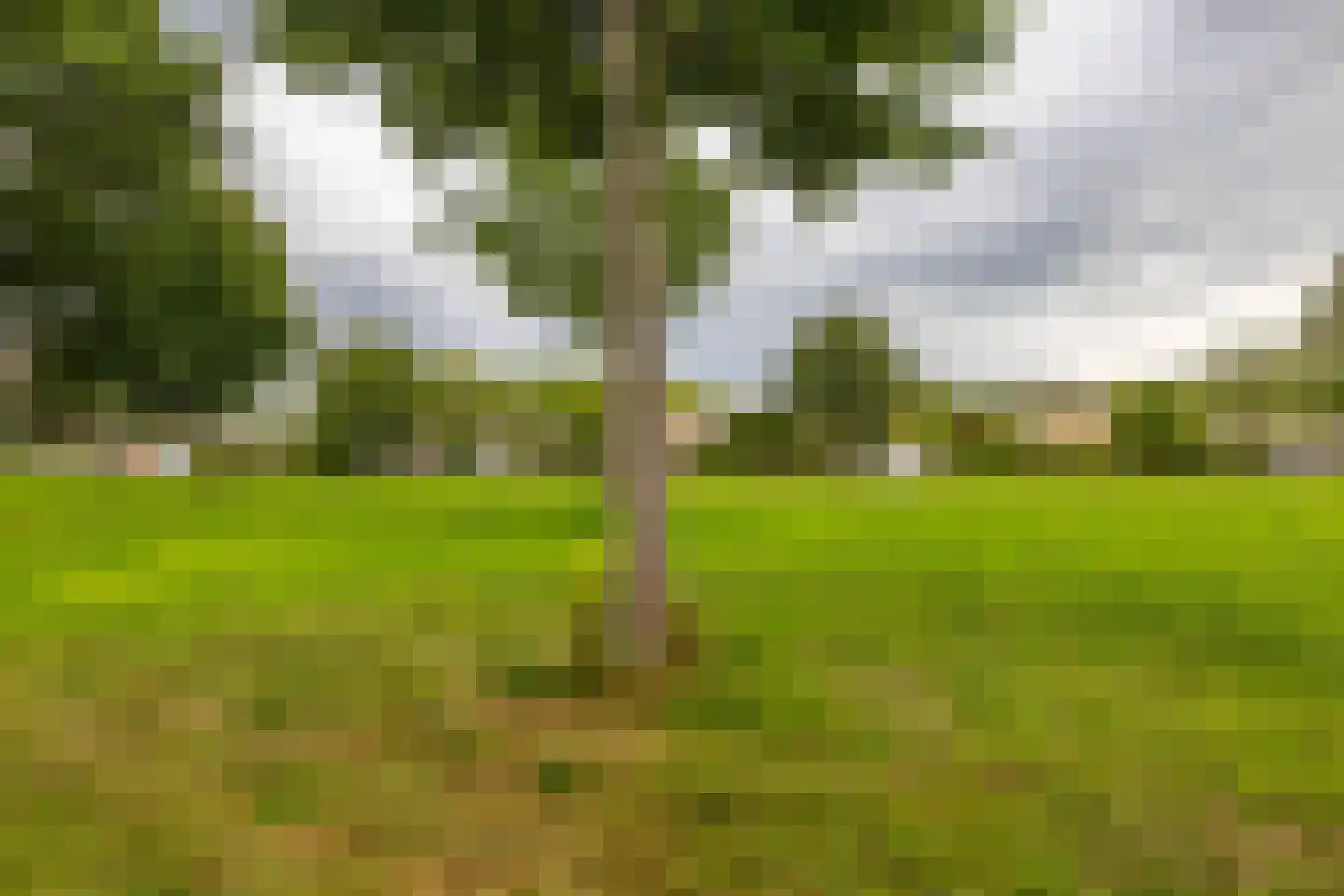 Berlageweg 39 Groningen thumbnail 37