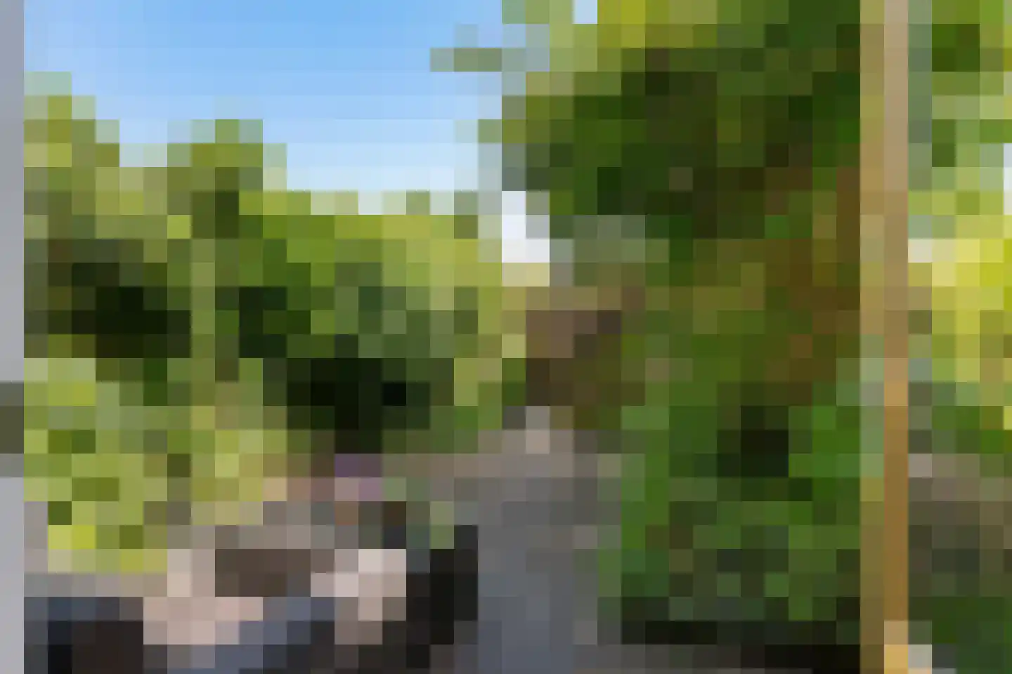 Berlageweg 42 Groningen thumbnail 16