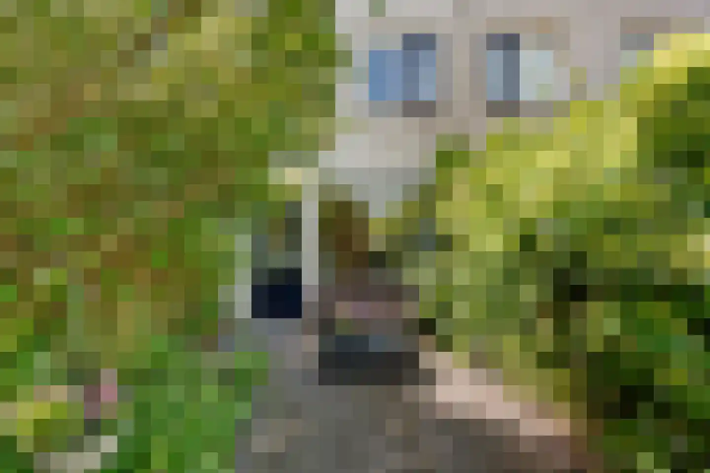 Berlageweg 42 Groningen thumbnail 17