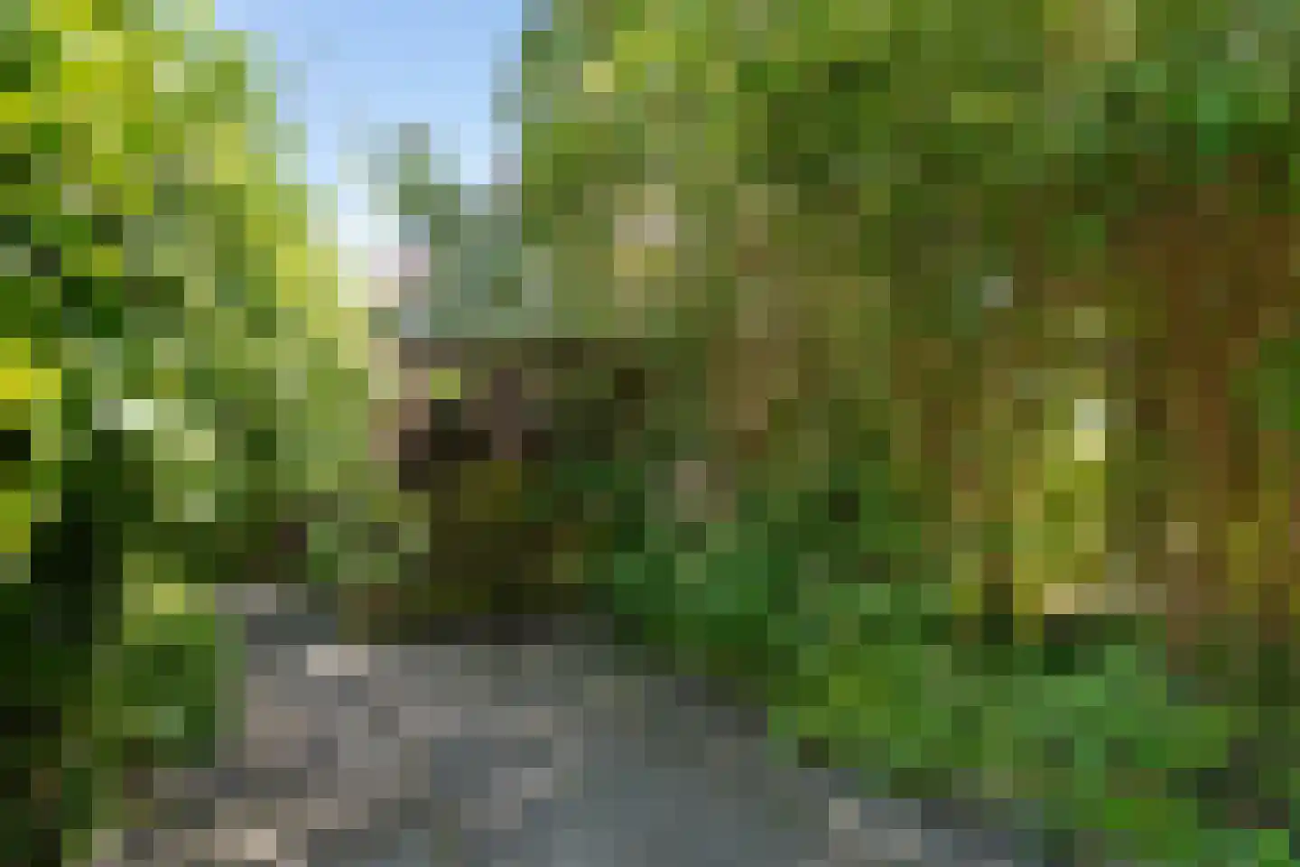 Berlageweg 42 Groningen thumbnail 19