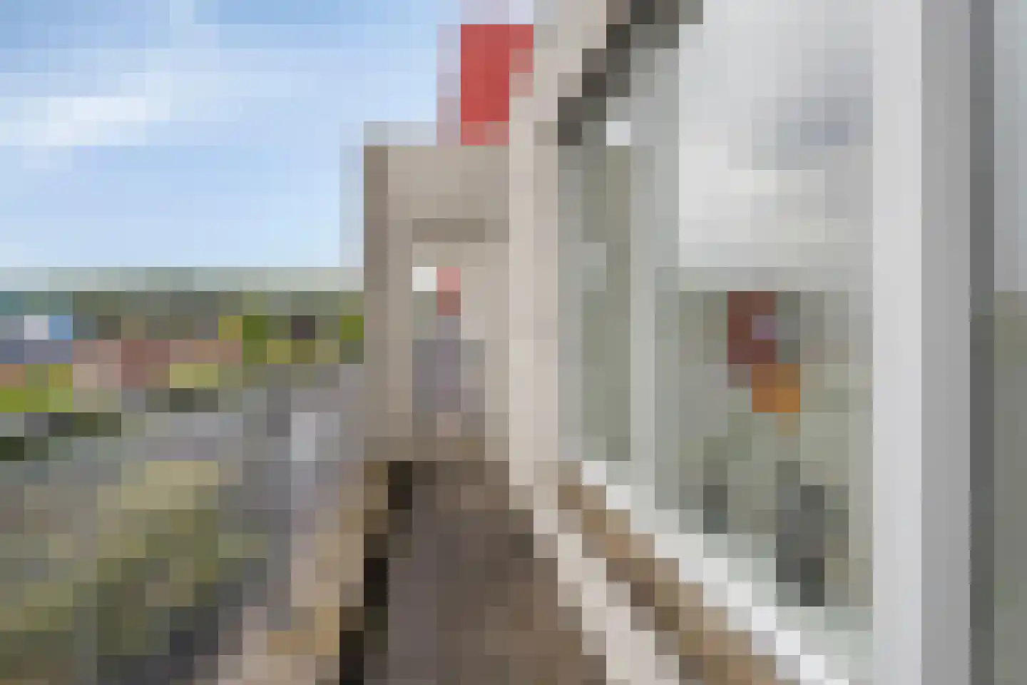 Berlageweg 82 Groningen thumbnail 27