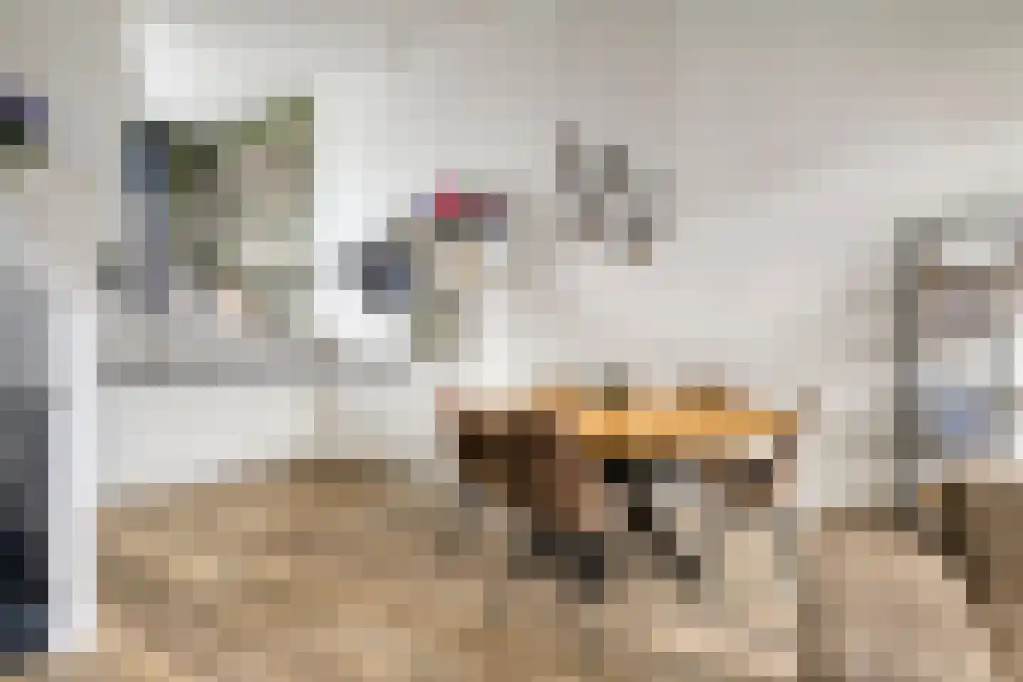 Berlagezoom 21 Bergschenhoek thumbnail 11