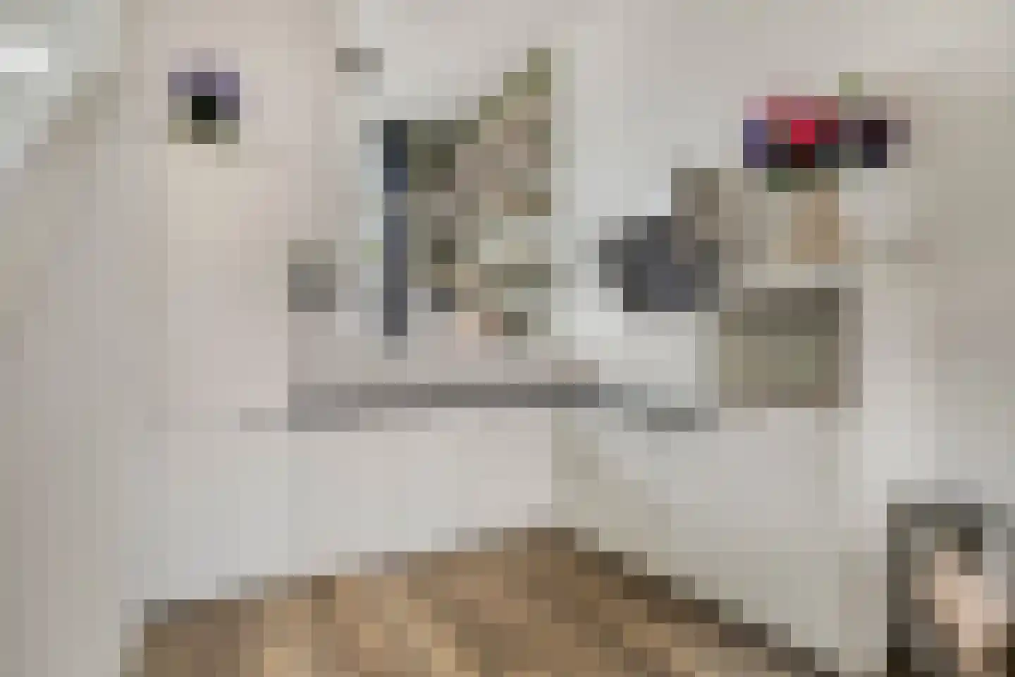 Berlagezoom 21 Bergschenhoek thumbnail 12
