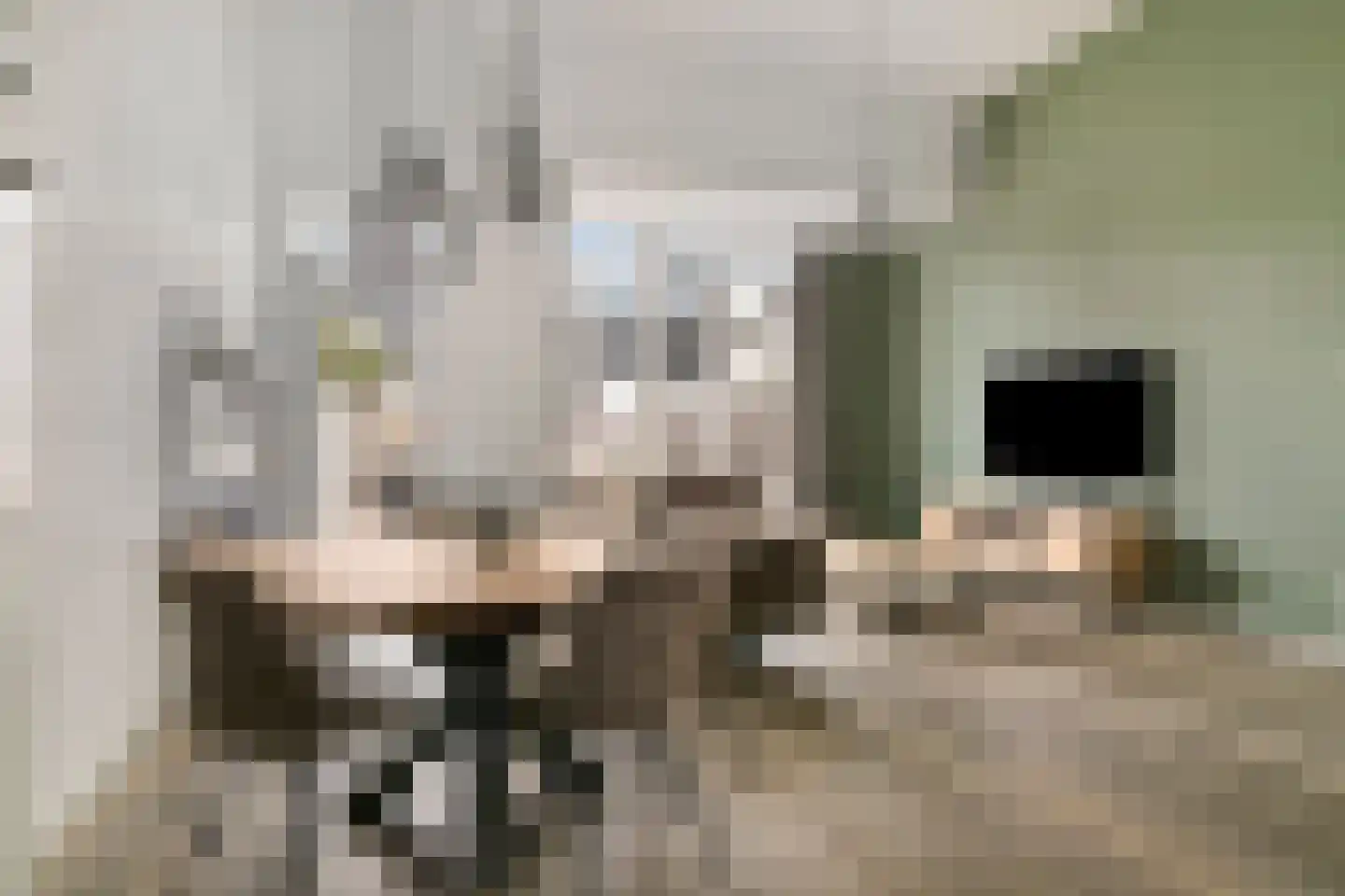Berlagezoom 21 Bergschenhoek thumbnail 13