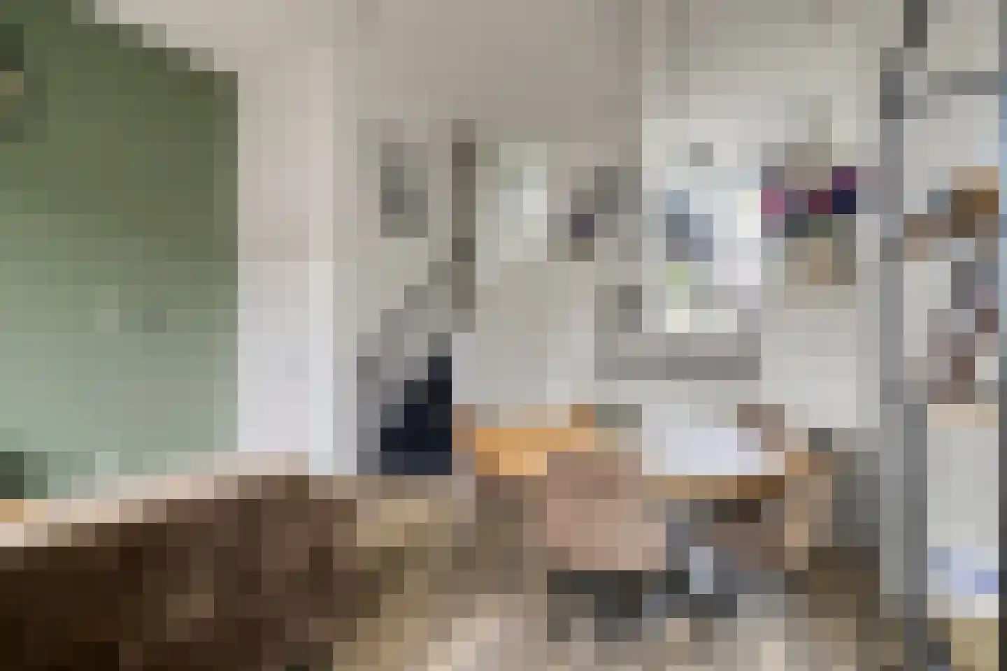 Berlagezoom 21 Bergschenhoek thumbnail 18