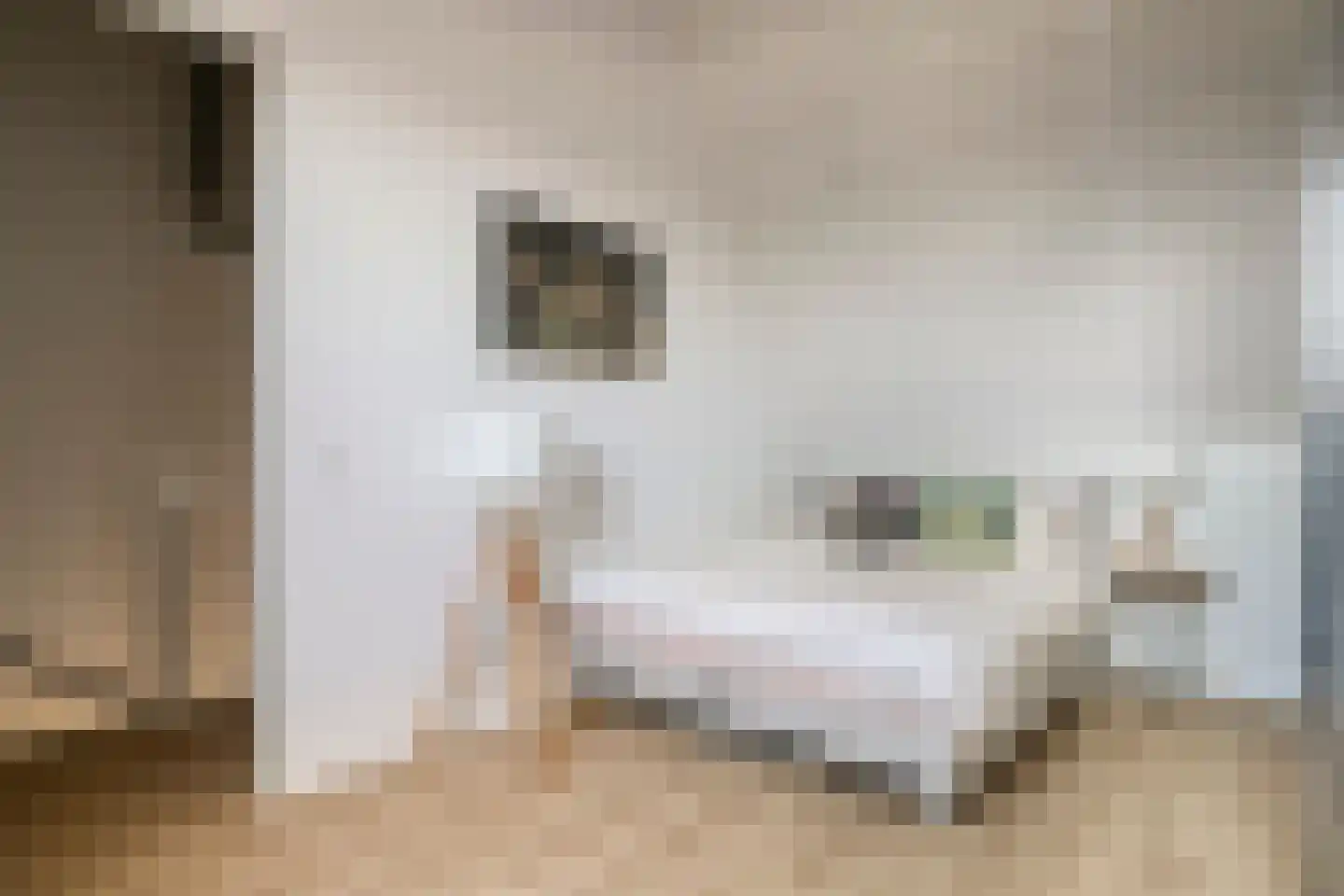 Berlagezoom 21 Bergschenhoek thumbnail 32